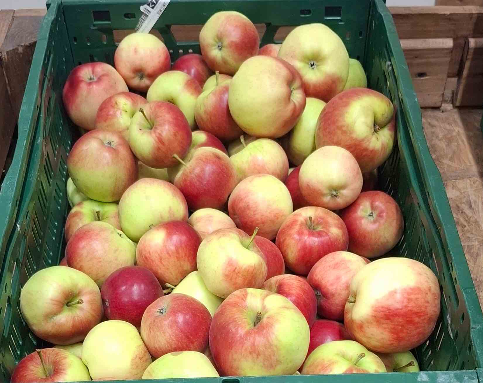 Äpfel Santana