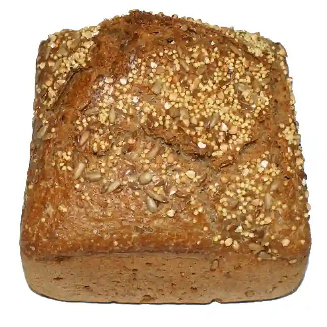 Dinkelkeimling mit Körnern