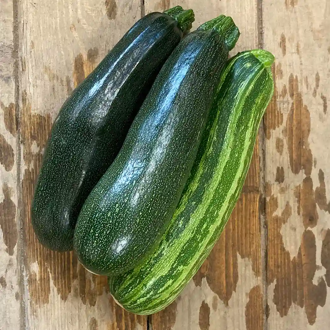 Zucchini